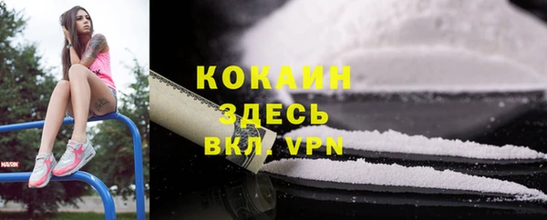 дживик Богородск