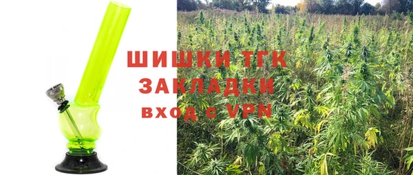 дживик Богородск