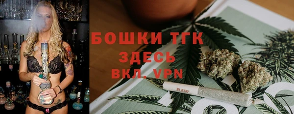 дживик Богородск