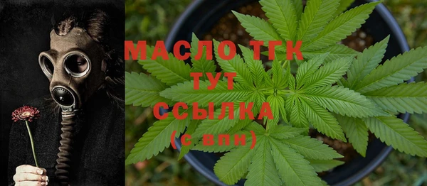 дживик Богородск