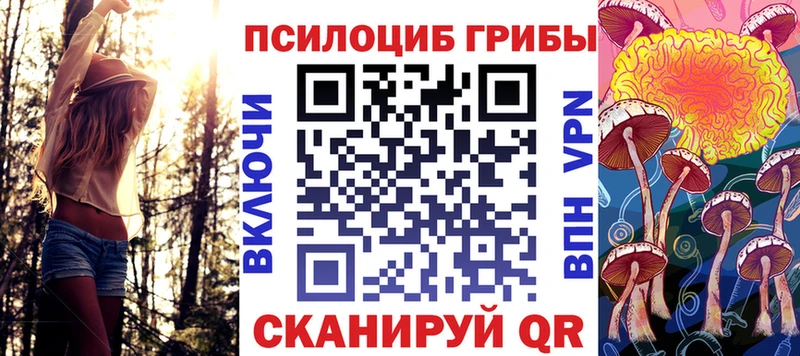 Псилоцибиновые грибы Psilocybine cubensis  где купить наркотик  Клин 